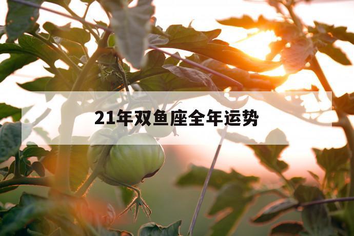 双鱼座2023年八月运势如何