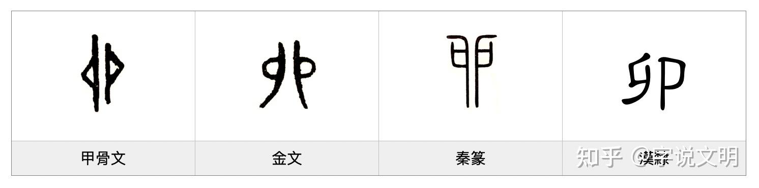 八字三个卯的女孩好不好