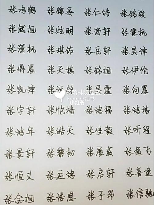 鼠宝宝起名取名:姓张男孩,锦绣前程有寓意的名字精选