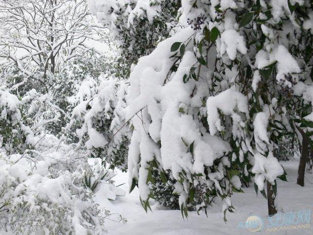 梦见下大雪图文