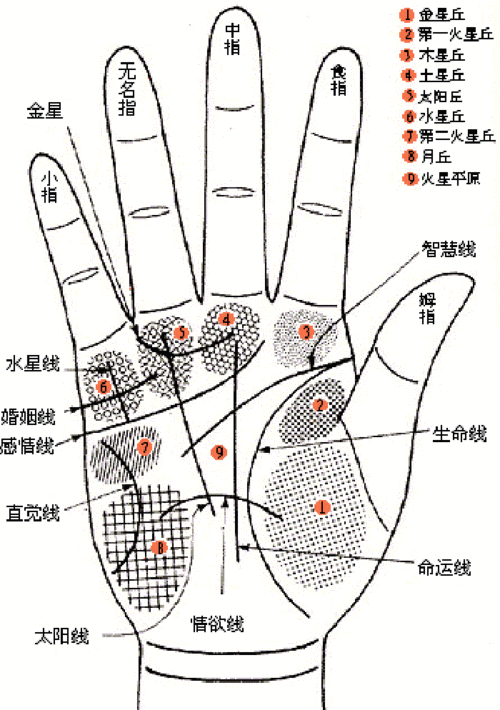 看手相算命