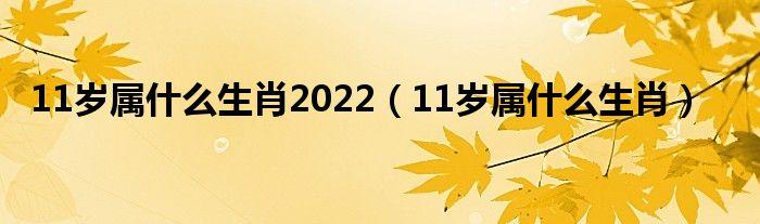 今年11岁属什么生肖 今年11岁属什么生肖2023