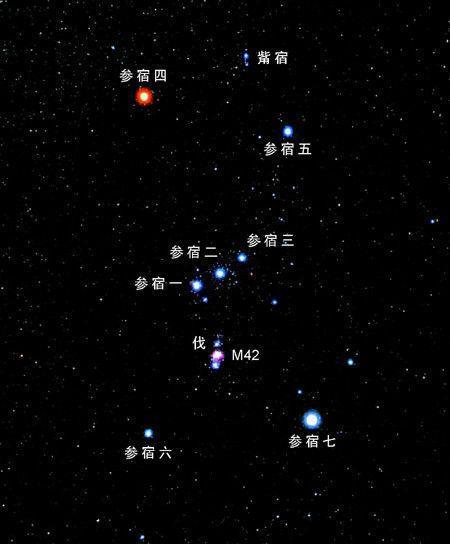 星宿是参宿(二十八星宿参宿详解)