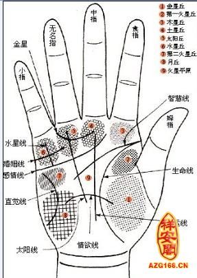 手相大全详解(四)