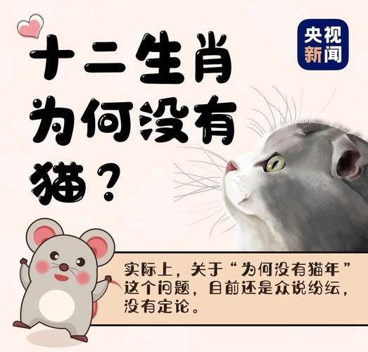 十二生肖中为啥没有猫鼠年将至通过一张图一起来聊聊