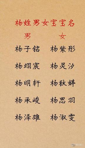 杨字起名女孩名字大全四个字