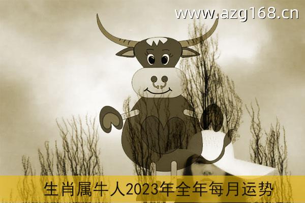 生肖属牛人2023年全年每月运势