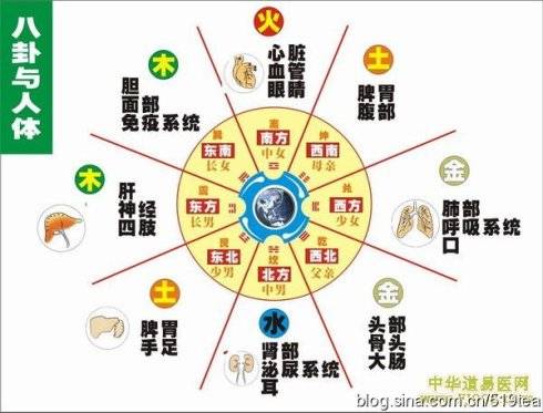     12个属相,分布在8个方位,每个方位,对应人体的不同器官