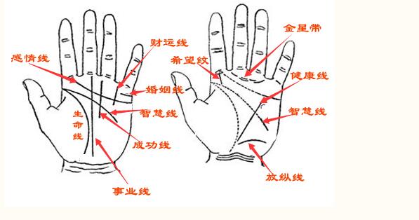 口字纹手相图解 口字纹手相图解大全男