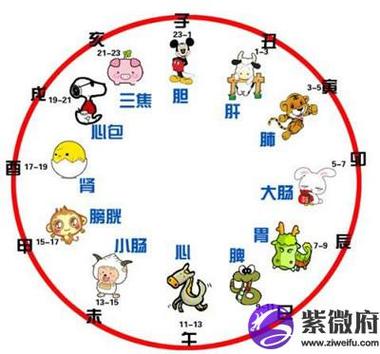 国学文化12生肖与十二时辰的秘密关系