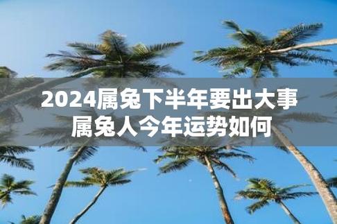 2024属兔下半年要出大事 属兔人今年运势如何