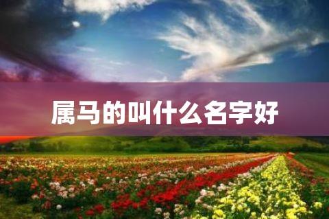 属马的叫什么名字好