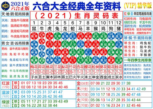 马的生肖号码2023(2023十二生肖号码图片)