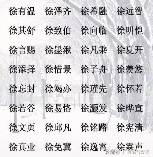 徐姓取名女孩名字大全_徐姓名字大全_鸡年徐姓宝宝名字大全