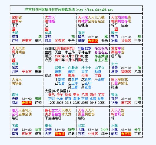 元亨利贞网紫微斗数命盘 请求高人详解