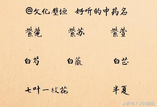 中药起名字好听的名字大全