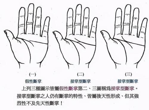 断掌手相图解大全 女人右手手相图解大全