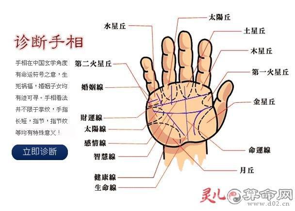 看手相算命图解:怎么看手相算命图解