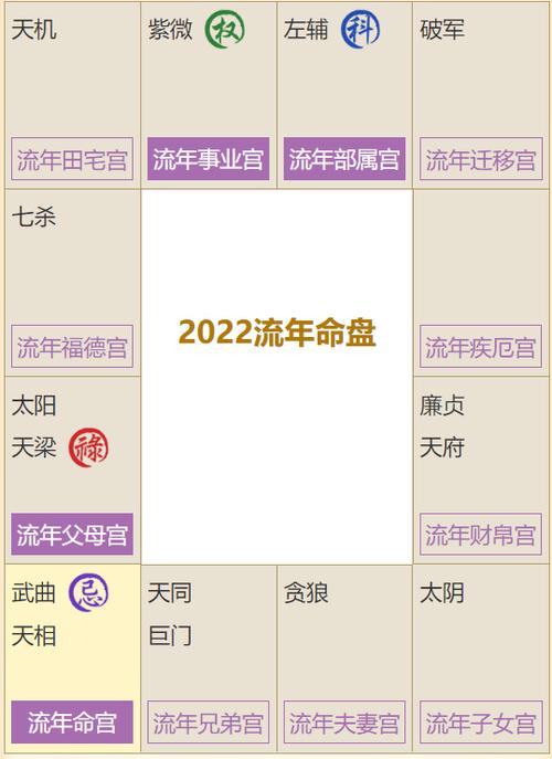 2023紫微流年 夜行歌紫微流年