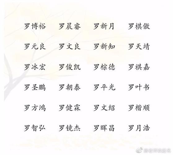 罗字起名男孩名字大全(潇字起名男孩最佳名字)