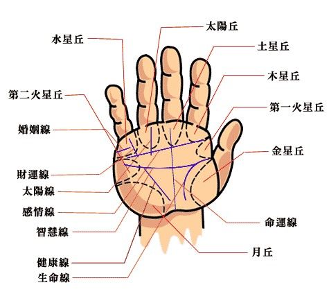 手相算命图解大全