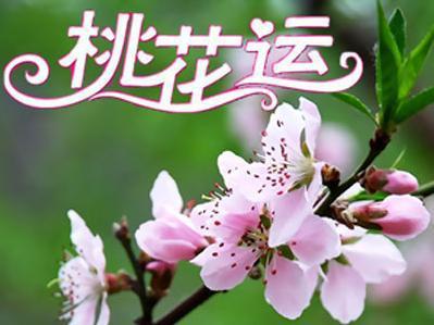 十二生肖2023桃花运 十二生肖2023桃花运大运