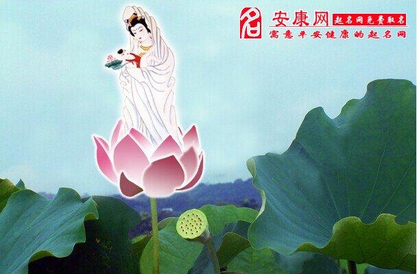 观音菩萨莲花是什么意思  梦见拜菩萨的宜忌:   宜:宜烟酒,宜替人说合