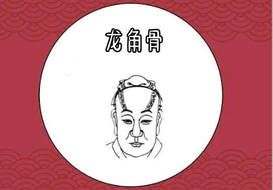 龙角骨在面相中,龙角骨又称为辅骨,由双眉上方向两边伸展突出的特点