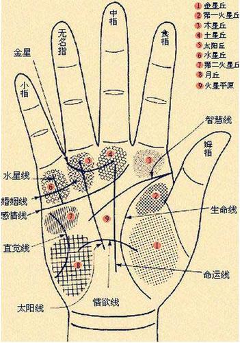 看男人手相算命图解