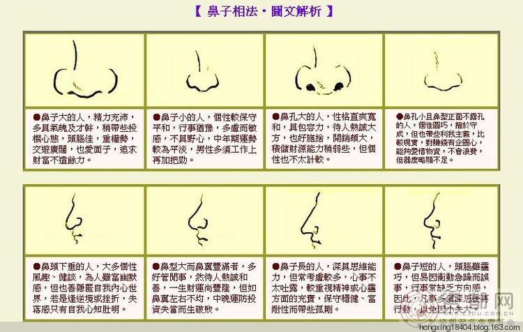 鼻孔形状面相图解 鼻孔形状有哪些