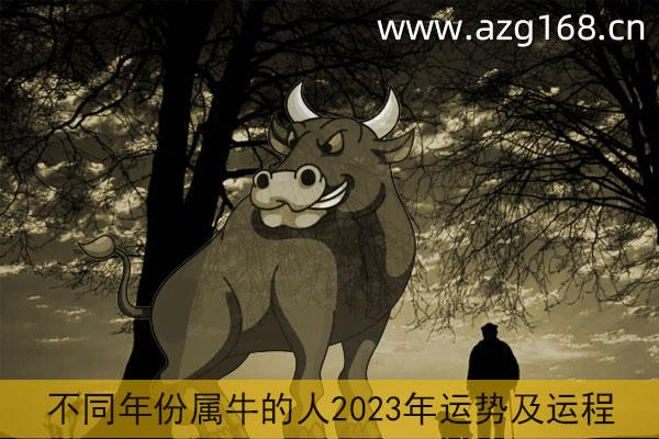 属牛2023年运势及运程详解