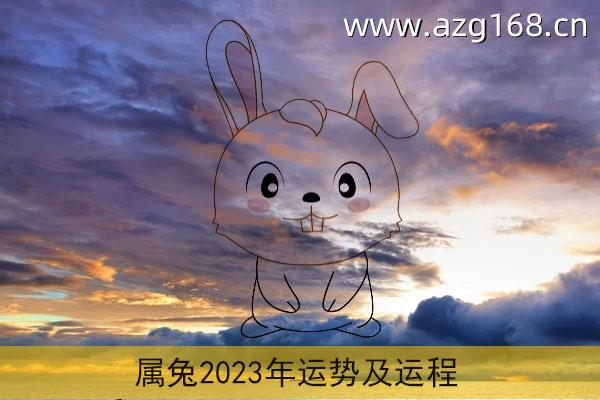 生肖兔2023年运势大全 生肖兔2023年运势大全及运程