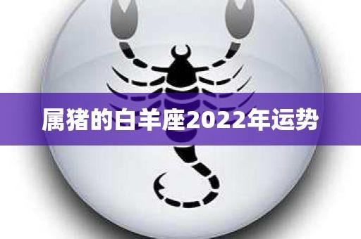 属猪白羊座2023年运势