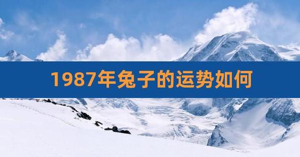 1987年兔子的运势如何,87年属兔36岁有一灾