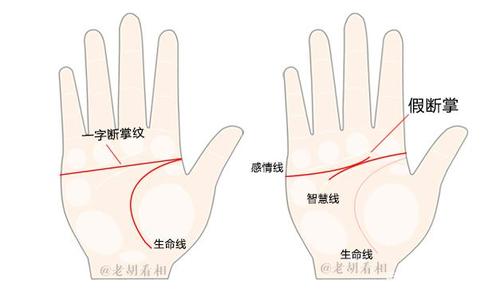 断掌手相图解:什么是断掌纹?断掌纹好吗?「老胡看相」