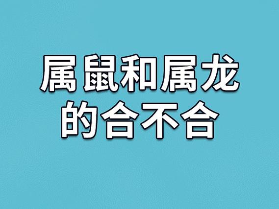 属鼠和属龙的合吗