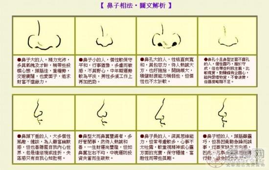 在面相学中,鼻子面相在五官中代表着财库,鼻型正,鼻头有肉,鼻翼丰隆