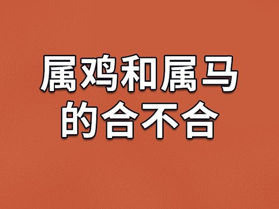 属马的遇鸡年运势如何(属马在兔年的运气如何)