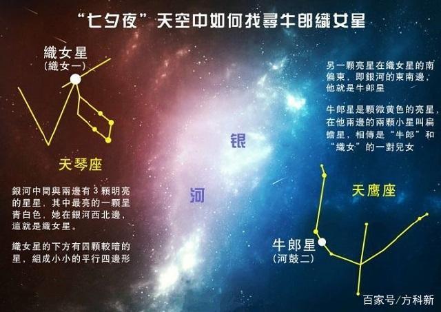 牵牛星在哪个星座 牵牛星在哪个星座中?