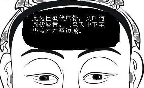 你了解伏羲骨吗?