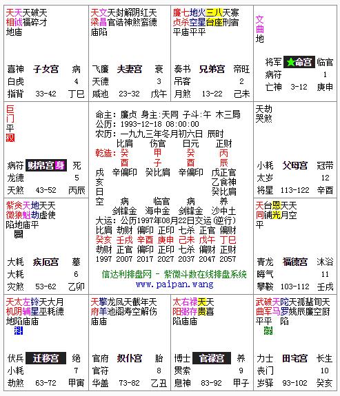 紫微斗数命盘解析倪海厦