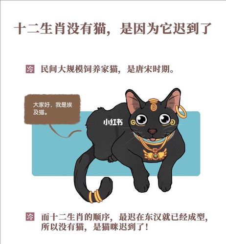 十二生肖为什么没有猫的故事 十二生肖为什么没有猫的故事视频