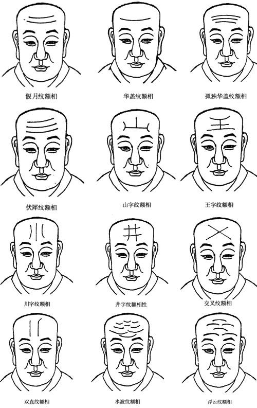 额头纹路面相图解 额头纹路面相图解女