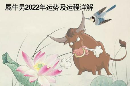 2023属牛人全年运势 2025属牛人全年运势1985女