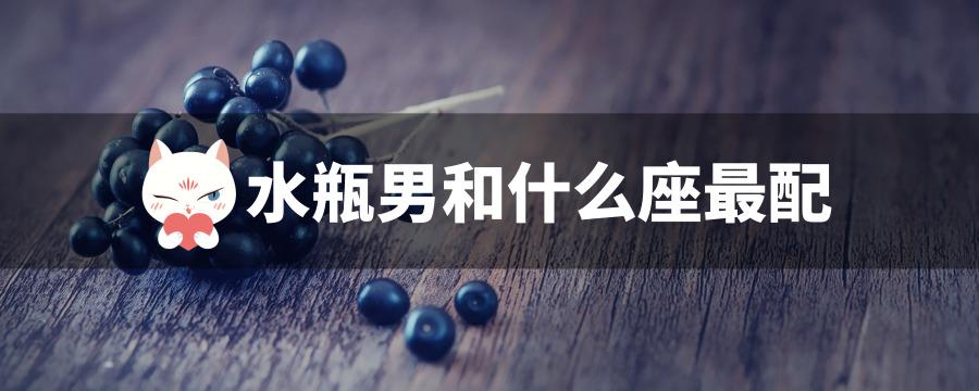 水瓶男和什么座最配