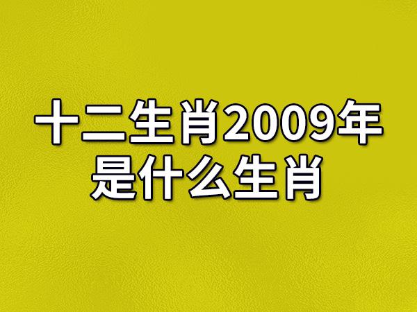 十二生肖2023年是什么生肖